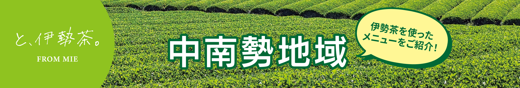 伊勢茶利用加速化キャンペーン開催！中南勢地域