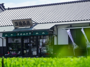 深緑茶房