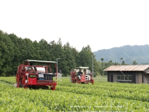 茶工房かはだ
