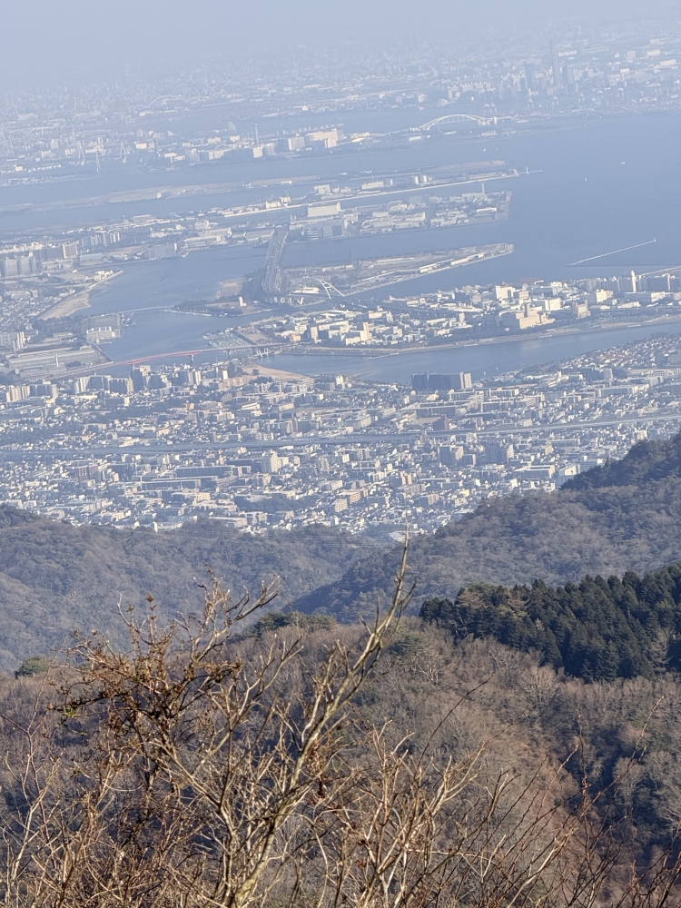 月曜日　本日お休み