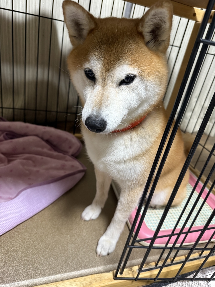 24日(日)今日はお時間空いております