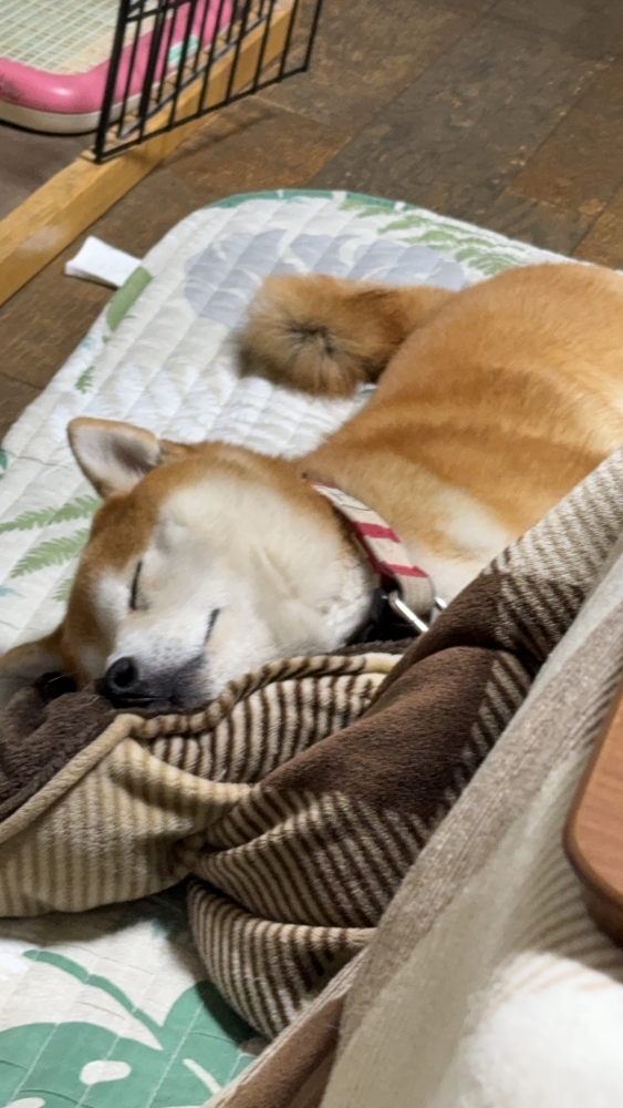 おはようございます　満員御礼