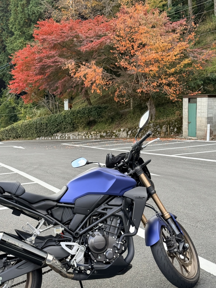 お家でお手入れ要らずです〜