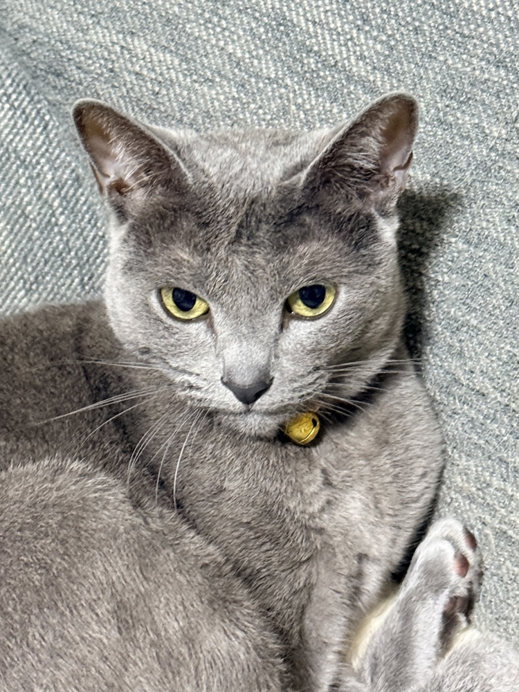 3日午前中営業です