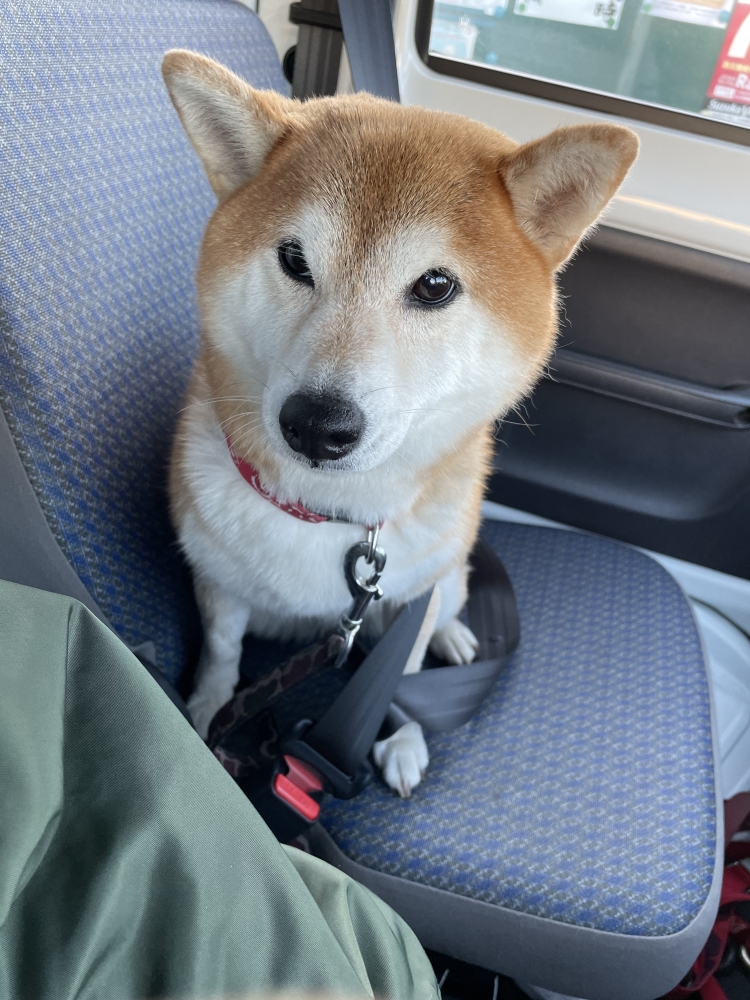 月曜日　本日はお休み