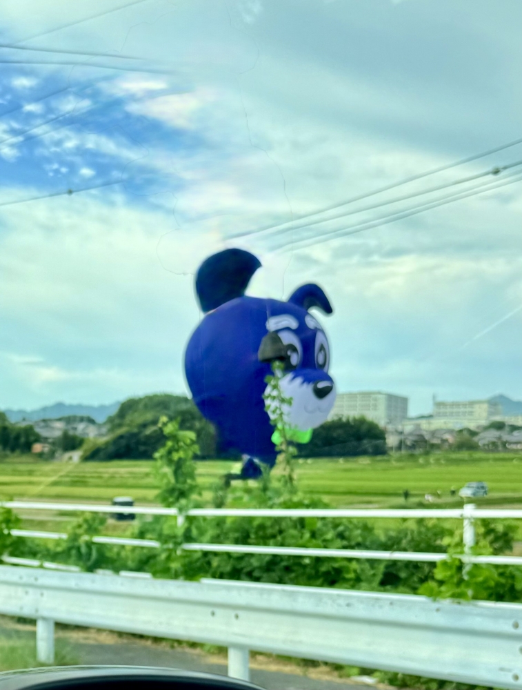 29日(月) お休みいただきます