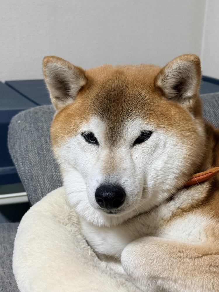 午後からご予約可能です