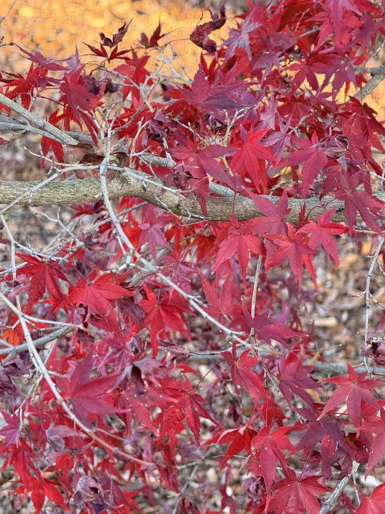 本日お時間空いております