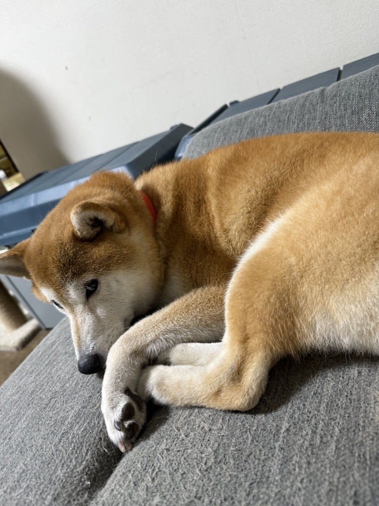 追伸です〜