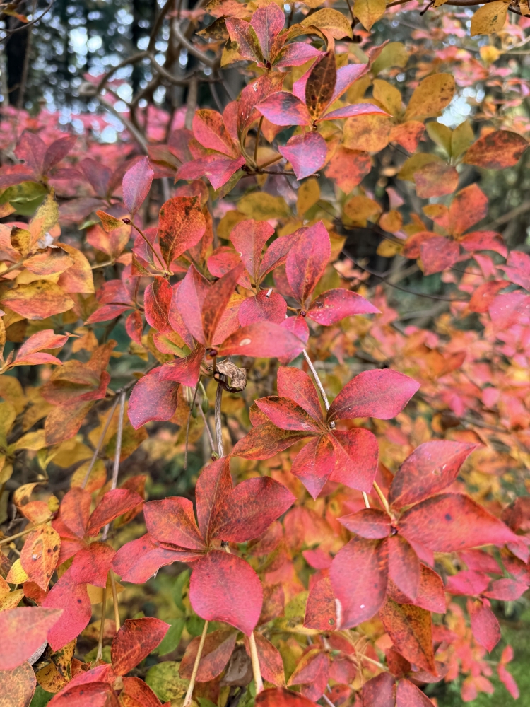 お手入れ要らずのファッショナブルヘアー