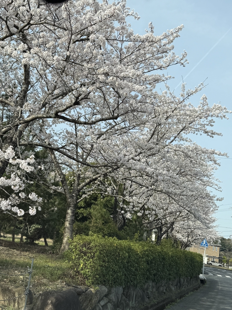 4月5日(土曜日)