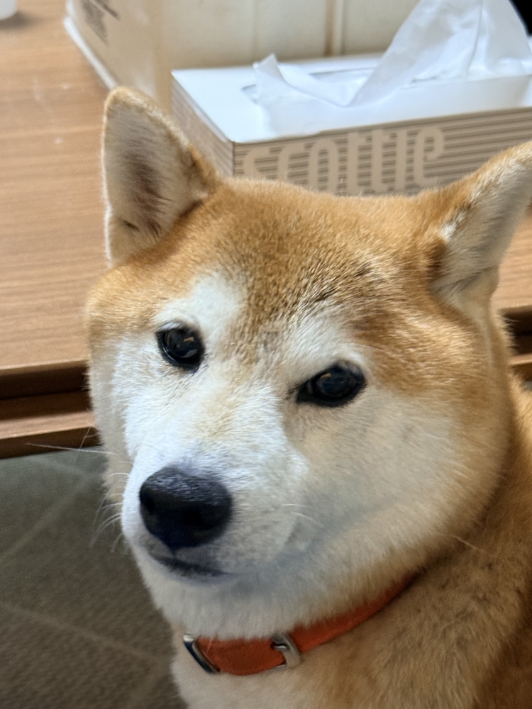 おはようございます