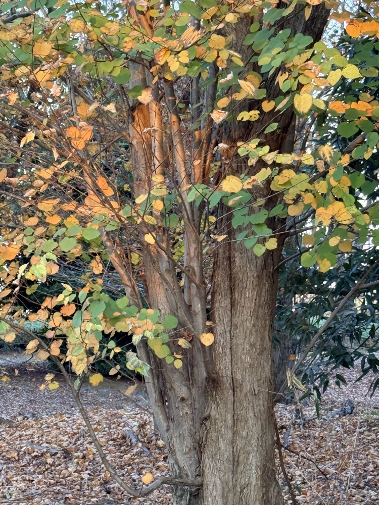 午前中営業です