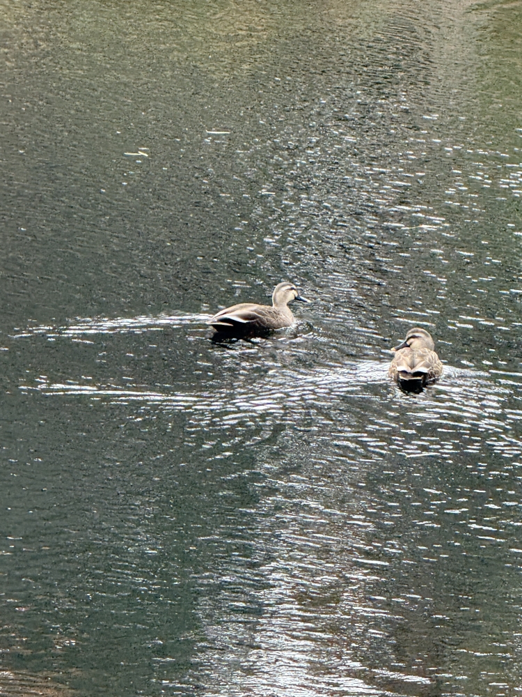 お手入れ要らずのファッショナブルヘアー！