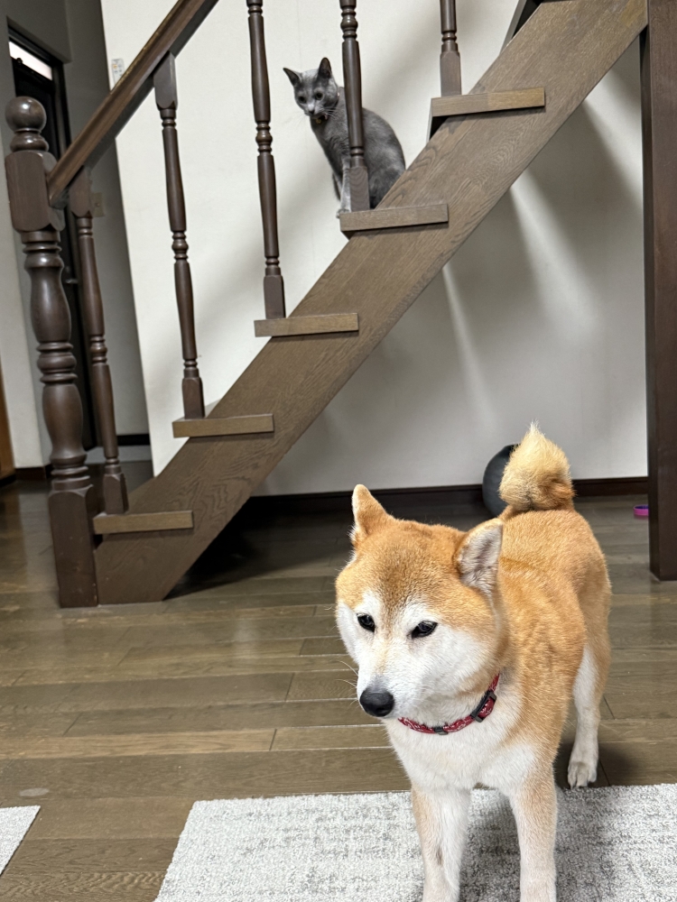 おはようございます 満員御礼です