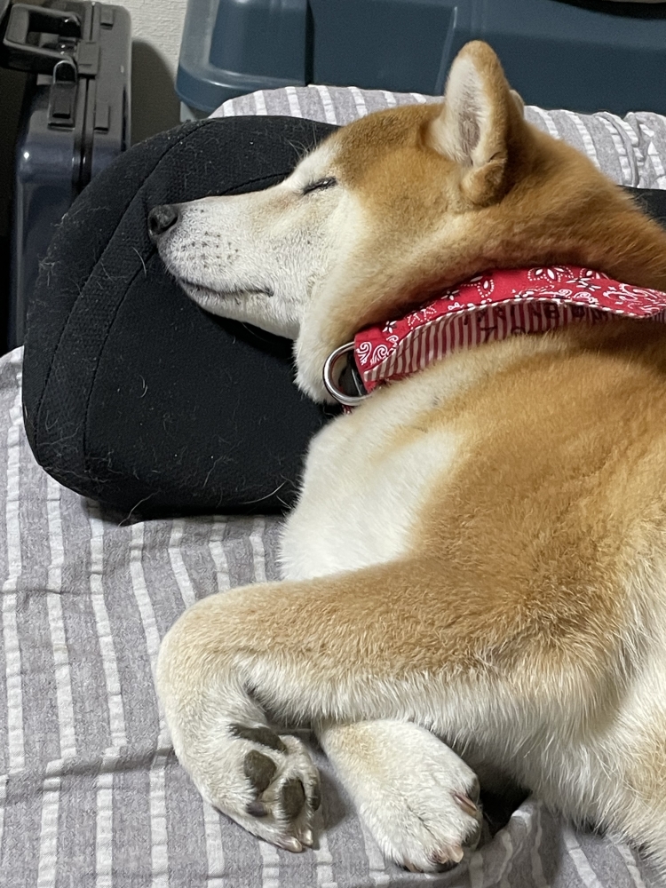 木曜日　ご来店をお待ちしております