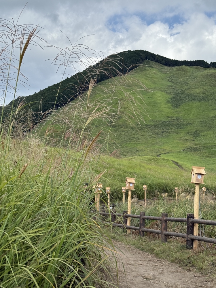 お手入れ要らずのファッショナブルヘアーを創ります