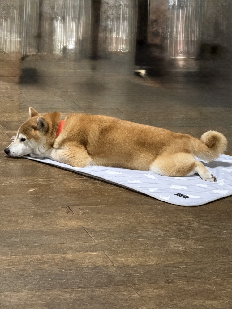 木曜日