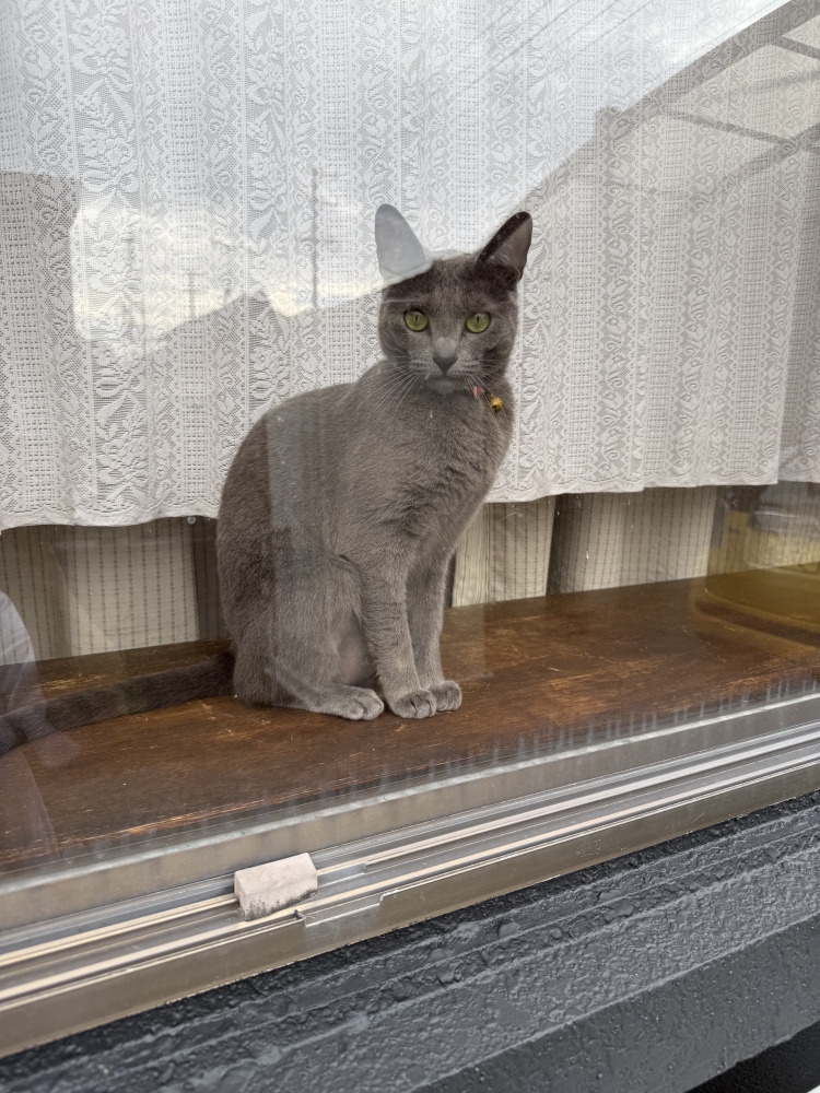 木曜日