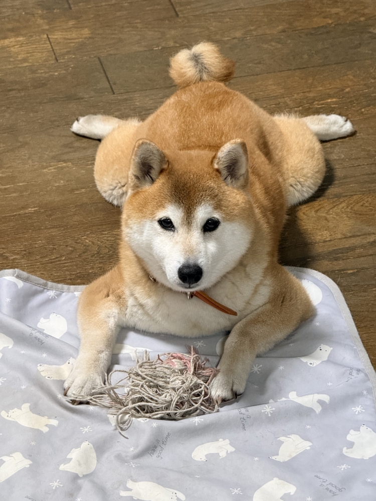 お手入れ要らずのファッショナブルヘアーを創ります