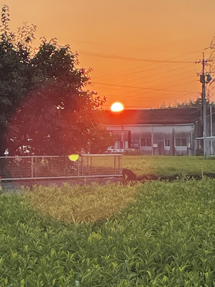 木曜日