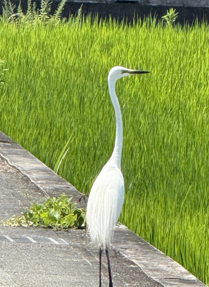 詰まってます〜