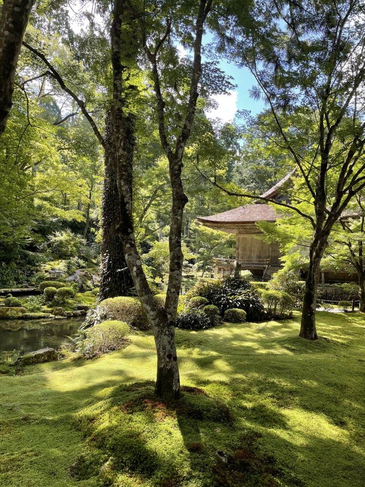 土曜日祝日