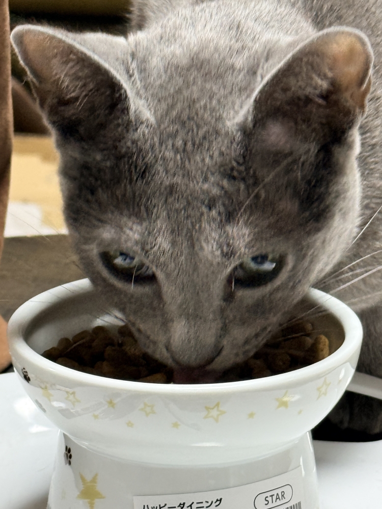 お手入れ要らずのファッショナブルヘアーを創ります