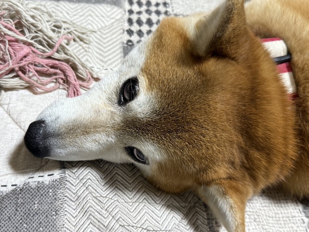 お手入れ要らずのファッショナブルヘアー