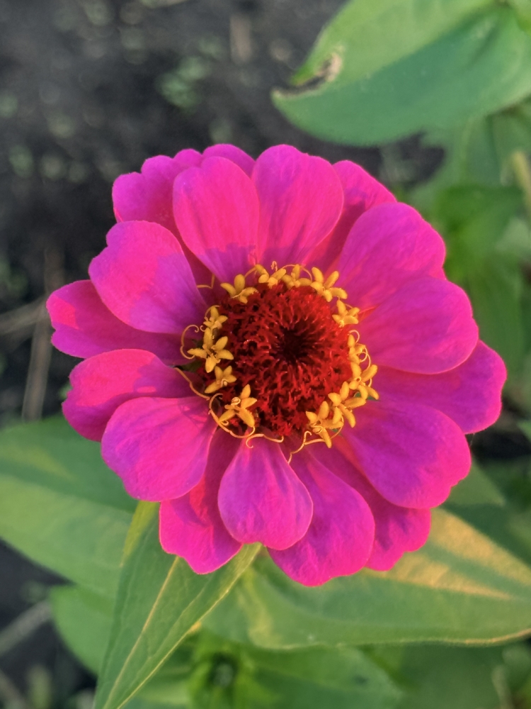 11/3(月) お休みいただきます