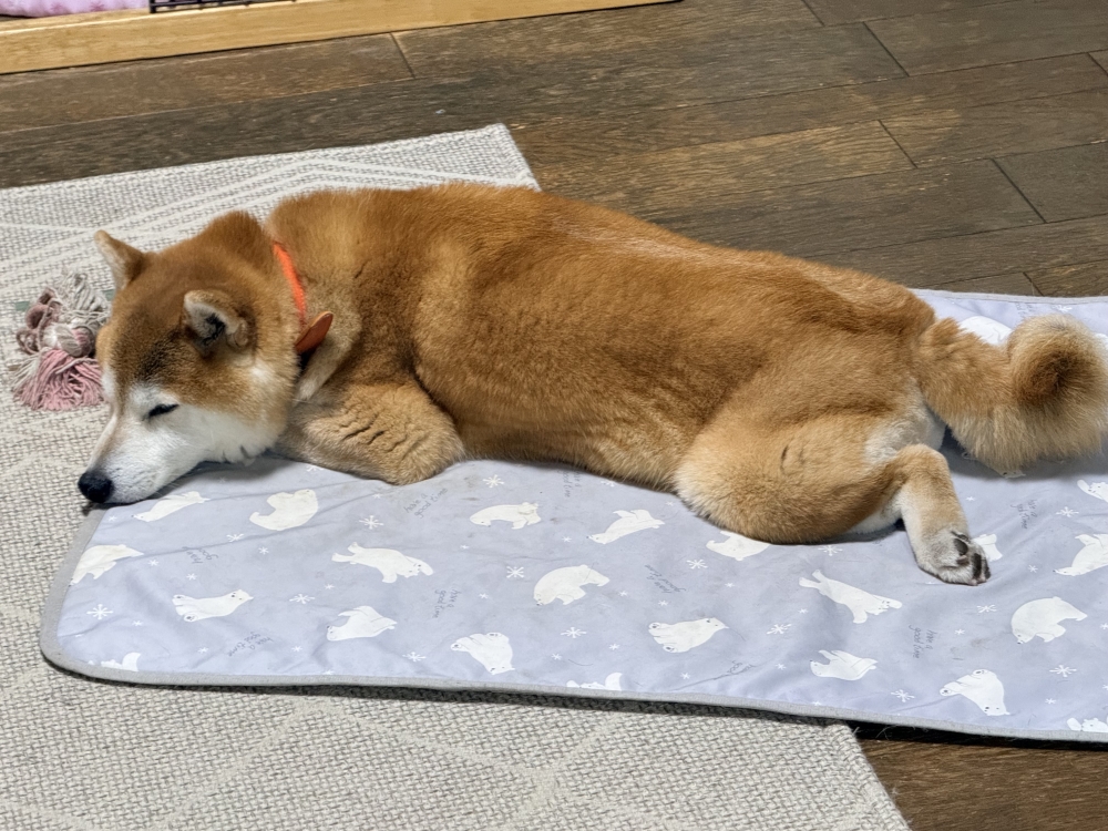 お手入れ要らずのファッショナブルヘアーが一番です！