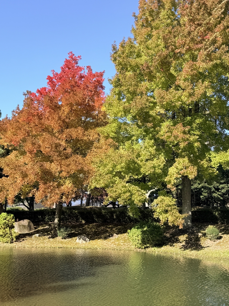 午前中に空き時間ございます
