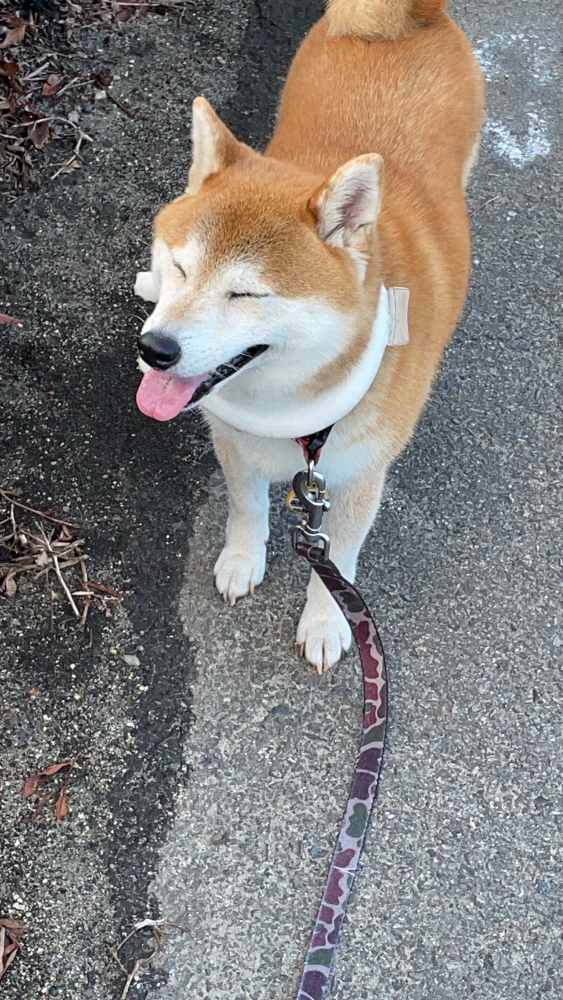 木曜日