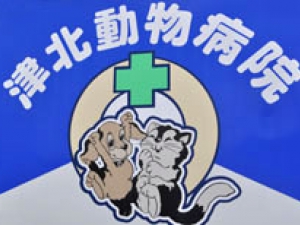津北動物病院