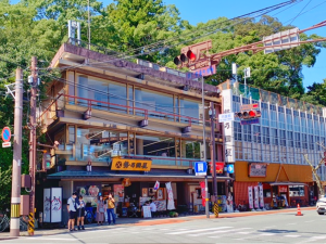勢乃國屋
