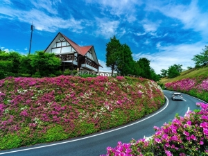 「道の駅」茶倉駅